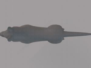 dog base for game 3D Model