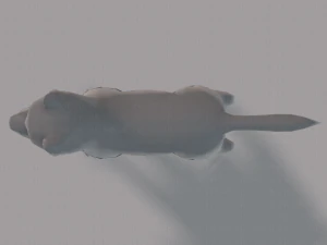 dog base for gamev02 3D Model