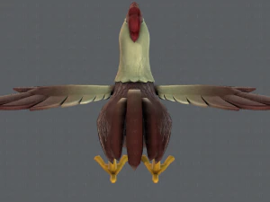 chicken cartoon basev02 3D Model