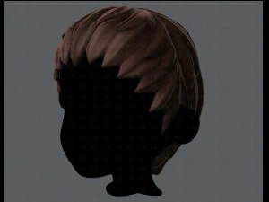3d hair style for boy v12 3D Model