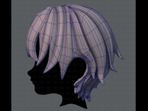 3d hair style for boy v16 3D Model