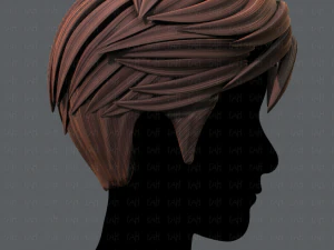3d hair style for man v02 3D Model