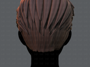 3d hair style for man v02 3D Модель