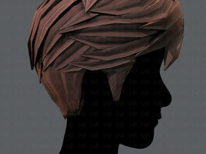 3d hair style for man v02 3D Model