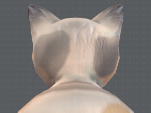 cat cartoon v01 3D Модель