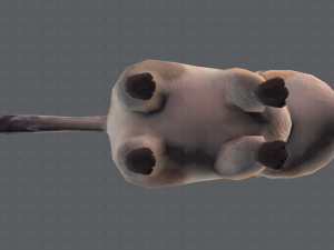 cat cartoon v01 3D Модель