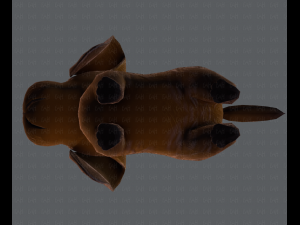 dog base cartoon 3D Modell