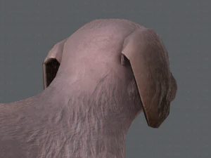 dog base cartoonv02 3D Model