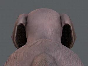 dog base cartoonv02 3D Model