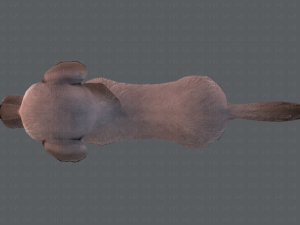 dog base cartoonv02 3D Модель