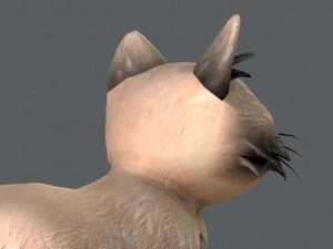 cat cartoon v02 3D Model