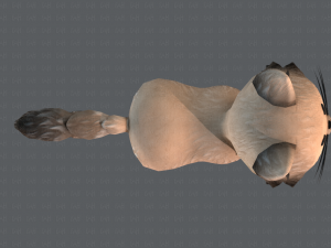 cat cartoon v02 3D Модель