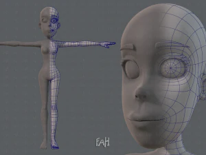 base malla mujer 04 Modelo 3D