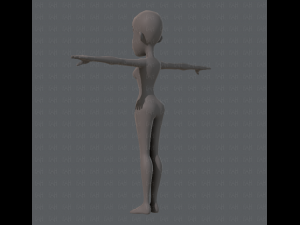 base mesh woman 04 3D Model