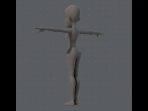 base mesh woman 04 3D Model