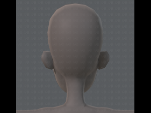 base mesh woman 04 3D Model