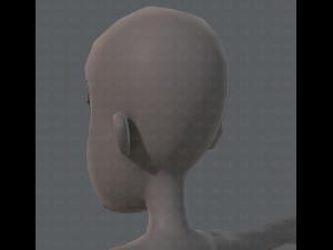 base mesh woman 04 3D Model