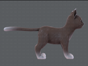 cat cartoon v03 3D Model