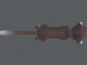 cat cartoon v03 3D Model