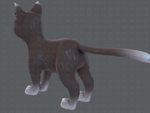 cat cartoon v03 3D Model