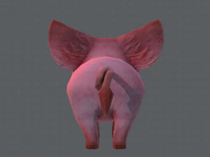 pig cartoon 3D Model