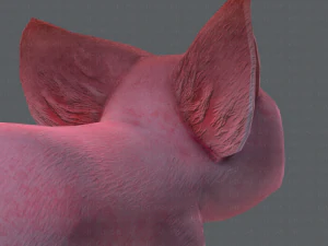 pig cartoon 3D Model
