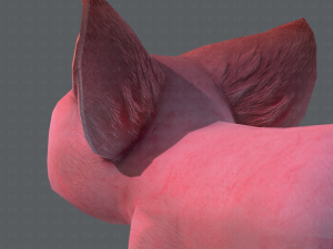 pig cartoon 3D मॉडल