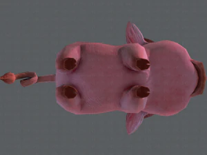 pig cartoon 3D Model