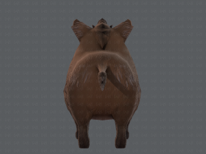 boar cartoon 3D मॉडल
