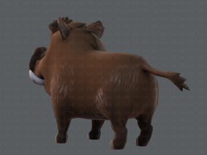 boar cartoon 3D मॉडल