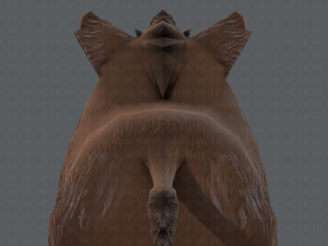boar cartoon 3D मॉडल