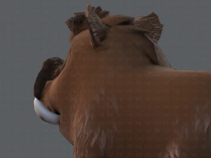 boar cartoon 3D Model