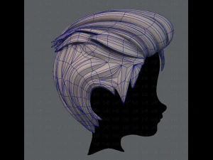 3d hair style for boy v17 3D Model