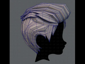3d hair style for boy v17 3D Model