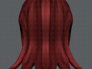 3d hair style for girl v17 3D Model