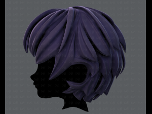 3d hair style for boy v21 3D 模型