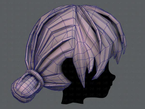 3d hair style for girl v22 3D Model