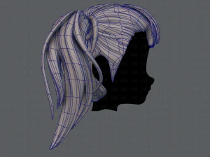3d hair style for girl v25 3D Model