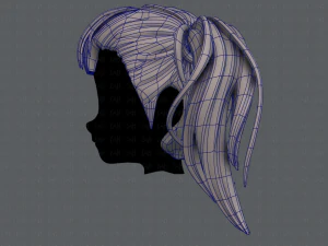 3d hair style for girl v25 3D Model