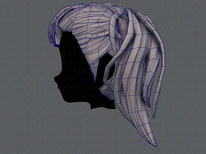 3d hair style for girl v25 3D Model