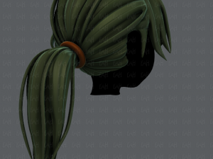 3d hair style for girl v26 Model 3D