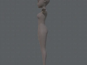 base mesh woman 05 3D Model