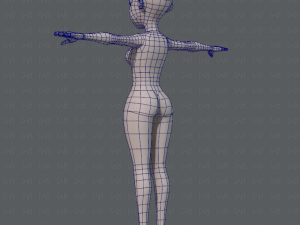 base mesh woman 05 Model 3D