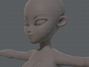 base mesh woman 05 Model 3D