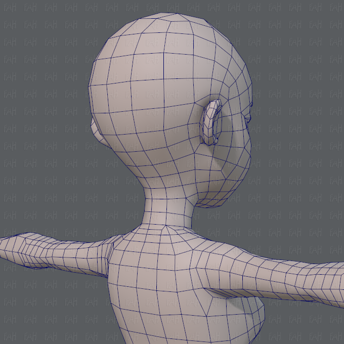 Base mesh