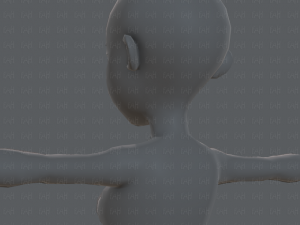 base mesh woman 05 Model 3D