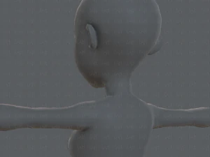 base mesh woman 05 3D Model