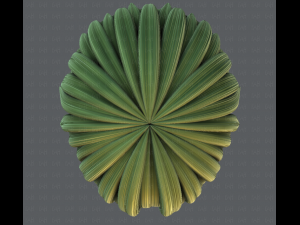 3d hair style for man v04 3D Модель