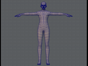 base mesh man character v04 3D मॉडल