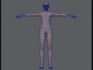 base mesh man character v04 3D Model